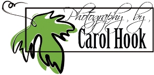 Carol Hook Photography